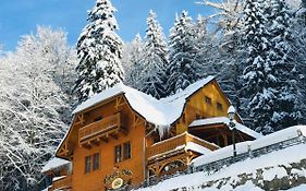 Pensjonat Alpejski Dwór