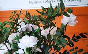 Pensjonat Alpejski Dwór